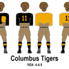 Columbus Tigers 1924