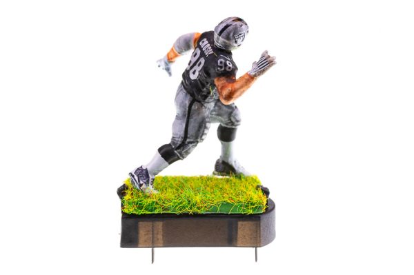 Pass Rushing Defensive Tackle 20B - Image 4